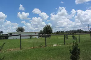 46365 State Road 64 E, Myakka City, FL 34251 - Photo 43