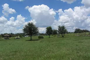 46365 State Road 64 E, Myakka City, FL 34251 - Photo 3