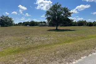 2765 Kerlew Dr, Zolfo Springs, FL 33890 - Photo 25