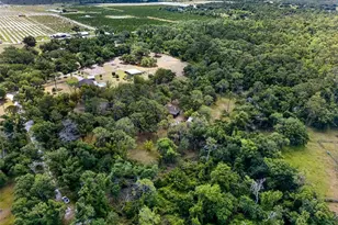 16409 Winburn Pl, Sarasota, FL 34240 - Photo 69