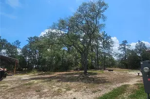 9172 Quivira Rd, Brooksville, FL 34613 - Photo 41