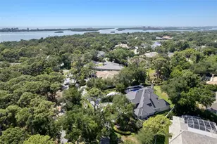97 Sugar Mill Dr, Osprey, FL 34229 - Photo 61