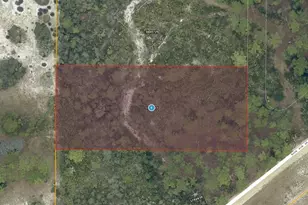 28-17-28-0004-000-03100 Buck Run Dr, Paisley, FL 32767 - Photo 1