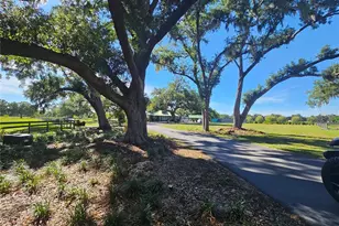5925 Spencer Parrish Rd, Parrish, FL 34219 - Photo 21