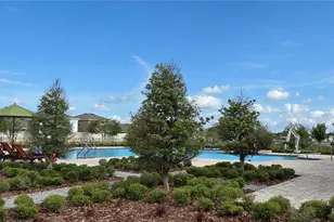 16731 Kingman Reef St, Wimauma, FL 33598 - Photo 21