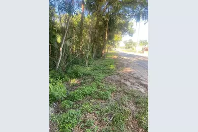 Spring Garden Ranch, De Leon Springs, FL 32130 - Photo 5