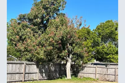 4722 Harris Avenue, Sarasota, FL 34233 - Photo 21