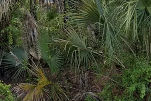 7879 Grafton Rd, North Port, FL 34291 - Photo 1