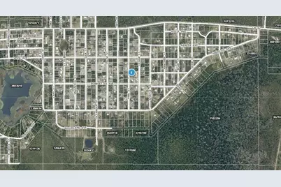 14-17-28-0200-009-01400 Pine Street, Paisley, FL 32767 - Photo 3