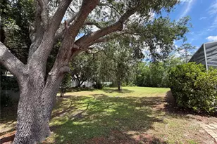 2966 Post Rock Ct, Tarpon Springs, FL 34688 - Photo 39
