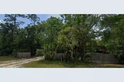 915 Lundy Lane SE, Steinhatchee, FL 32359 - Photo 3