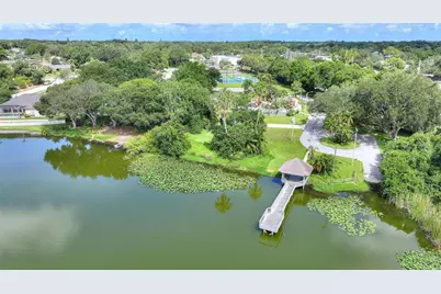 3906 Blooming Hill Lane, Palm Harbor, FL 34684 - Photo 49
