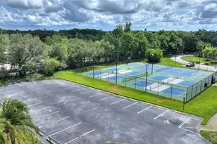 3906 Blooming Hill Ln, Palm Harbor, FL 34684 - Photo 41