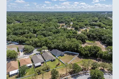 25944 Winning Colors Way, Wesley Chapel, FL 33544 - Photo 3