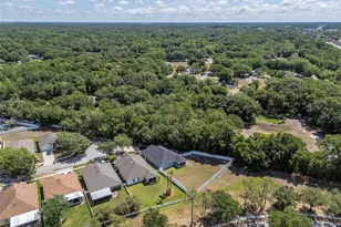 25944 Winning Colors Way, Wesley Chapel, FL 33544 - Photo 3