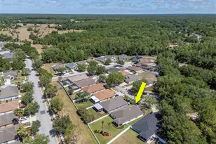 25944 Winning Colors Way, Wesley Chapel, FL 33544 - Photo 39