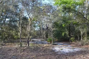 Grandville, Hudson, FL 34669 - Photo 1