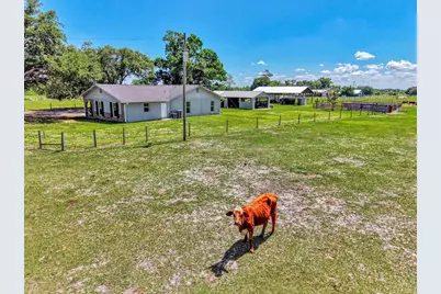 10433 SW Jernigan Street, Arcadia, FL 34269 - Photo 67