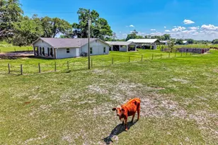 10433 SW Jernigan St, Arcadia, FL 34269 - Photo 67