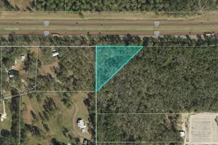 13-19-20-218-0000 Tung Grove Rd, Tallahassee, FL 32317 - Photo 1