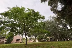 3204 Brigadoon Dr, Clearwater, FL 33759 - Photo 39