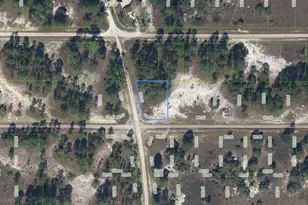 300 Moon River Ave, Lake Placid, FL 33852 - Photo 1