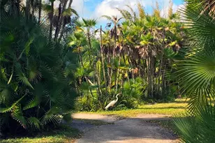 7808 34th Ct E, Sarasota, FL 34243 - Photo 21