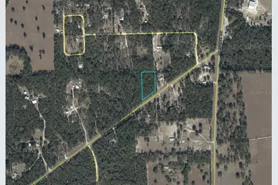 Ne Hwy 351, Old Town, FL 32680 - Photo 3
