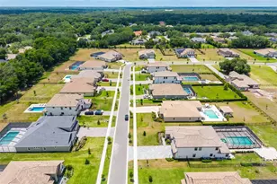 1843 Cattle Baron Ct, Lithia, FL 33547 - Photo 77
