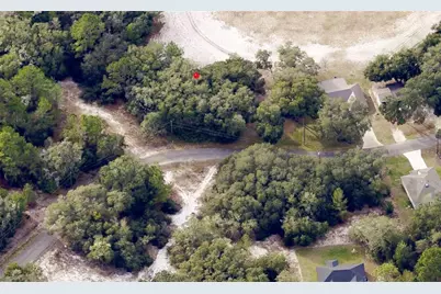 175 Fisher Ln Court, Ocklawaha, FL 32179 - Photo 3