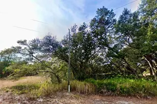 175 Fisher Ln Ct, Ocklawaha, FL 32179 - Photo 1