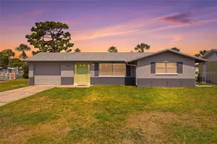 10737 Fillmore Ave, Port Richey, FL 34668 - Photo 1