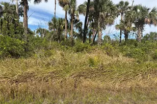Melissa Terrace, North Port, FL 34286 - Photo 1