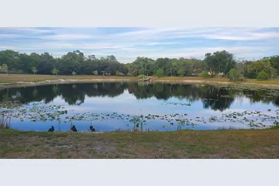 7517 Jomel Drive, Weeki Wachee, FL 34607 - Photo 41
