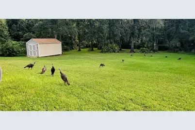 7517 Jomel Drive, Weeki Wachee, FL 34607 - Photo 37