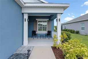3410 Box Turtle Terrace, Parrish, FL 34219 - Photo 41