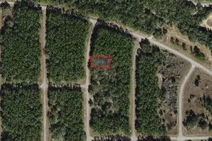 8881 N Teather Terrace, Dunnellon, FL 34434 - Photo 1