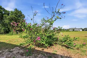 258 Rio De Janeiro Ave, Punta Gorda, FL 33983 - Photo 25
