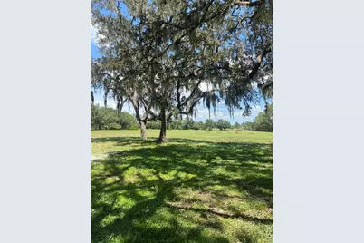 7505 274th Street E, Myakka City, FL 34251 - Photo 3