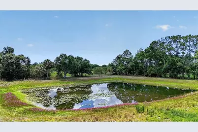 7505 274th Street E, Myakka City, FL 34251 - Photo 13