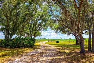 14110 Sugarbowl Rd, Myakka City, FL 34251 - Photo 49