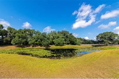 14705 Mossy Hammock Lane, Myakka City, FL 34251 - Photo 45