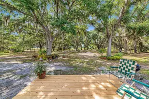 14705 Mossy Hammock Ln, Myakka City, FL 34251 - Photo 5