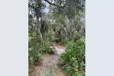 14705 Mossy Hammock Lane, Myakka City, FL 34251 - Photo 43