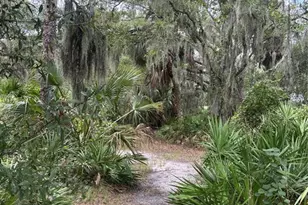 14705 Mossy Hammock Ln, Myakka City, FL 34251 - Photo 43