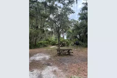 14705 Mossy Hammock Lane, Myakka City, FL 34251 - Photo 45