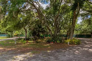 14705 Mossy Hammock Ln, Myakka City, FL 34251 - Photo 47