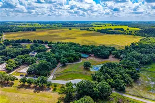 14705 Mossy Hammock Ln, Myakka City, FL 34251 - Photo 59
