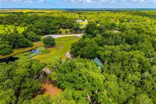 14705 Mossy Hammock Ln, Myakka City, FL 34251 - Photo 63