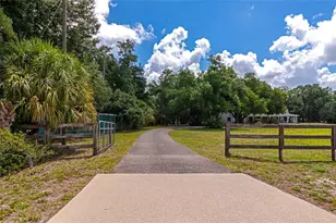 14705 Mossy Hammock Ln, Myakka City, FL 34251 - Photo 51
